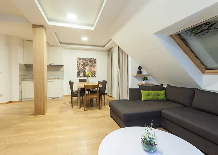 Wellness&spa 公寓 兹拉蒂博尔